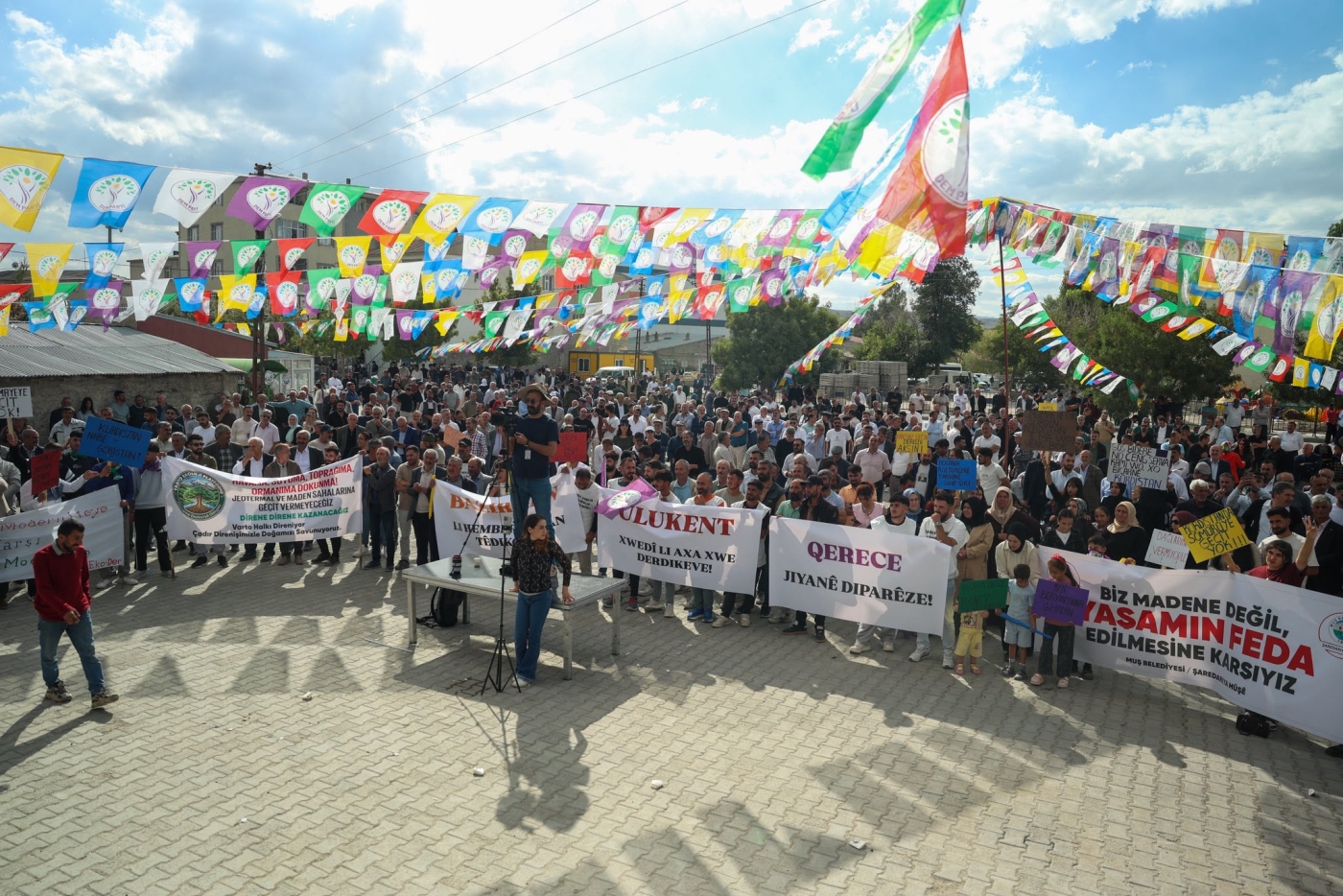 dem3-i6ab82b76b14ca.jpg