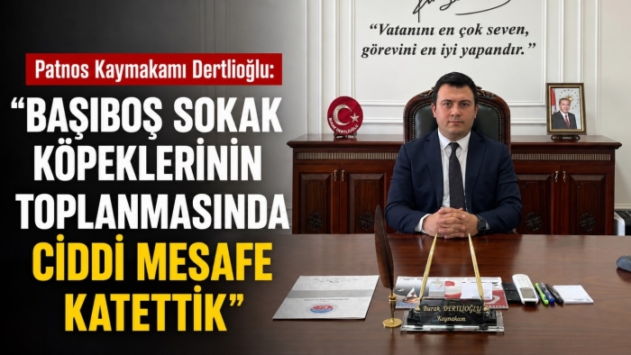 Patnos Kaymakamı Dertlioğlu: “Başıboş Sokak Köpeklerinin Toplanmasında Ciddi Mesafe Katettik”