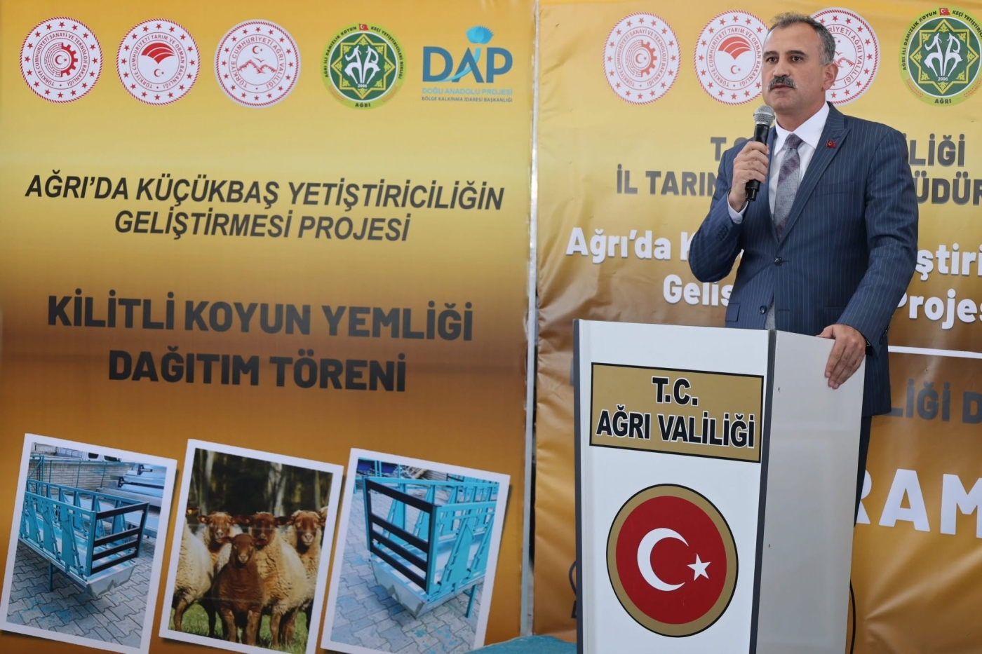 vali09-i6ab57410eceaf.jpg